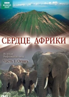 BBC: Сердце Африки